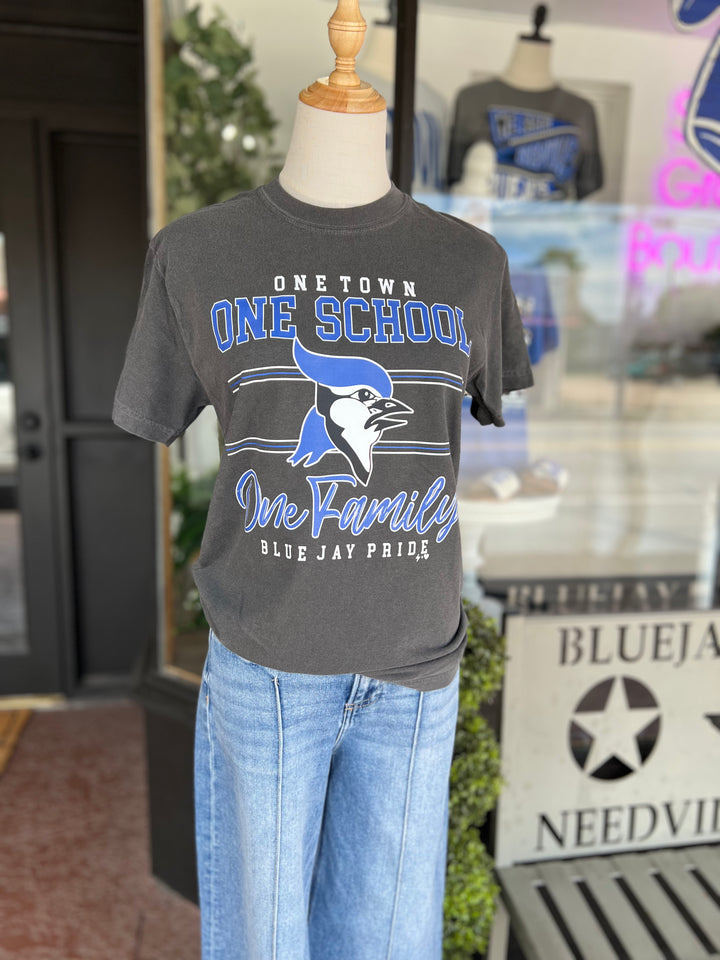 One School One Town One Family