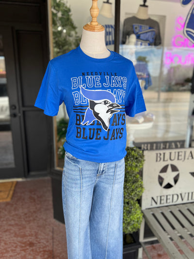 Needville Blue Jays
