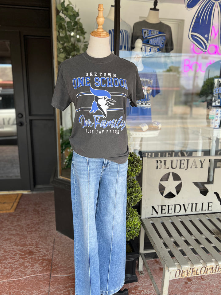 One School One Town One Family