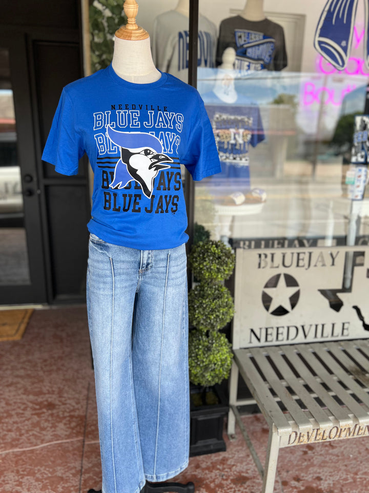 Needville Blue Jays