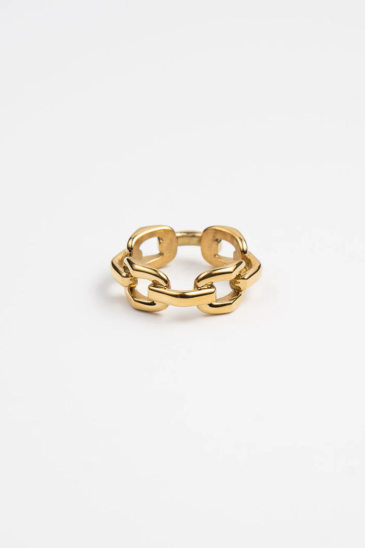 Big Chain RIng